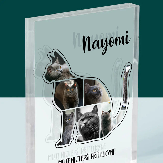 Tvar Z Fotek: Kočka Ten Nejlepší Přítel - Akrylový Blok