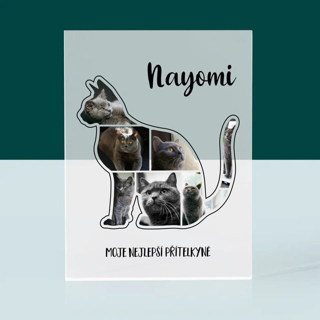 Tvar Z Fotek: Kočka Ten Nejlepší Přítel - Akrylový Blok