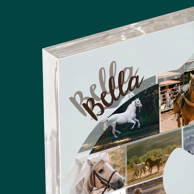 Tvar Z Fotek: Kůň - Akrylový Blok