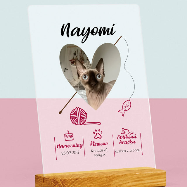 Fotka S Textem: Kočičí Údaje - Tisk Na Akrylovém Skle