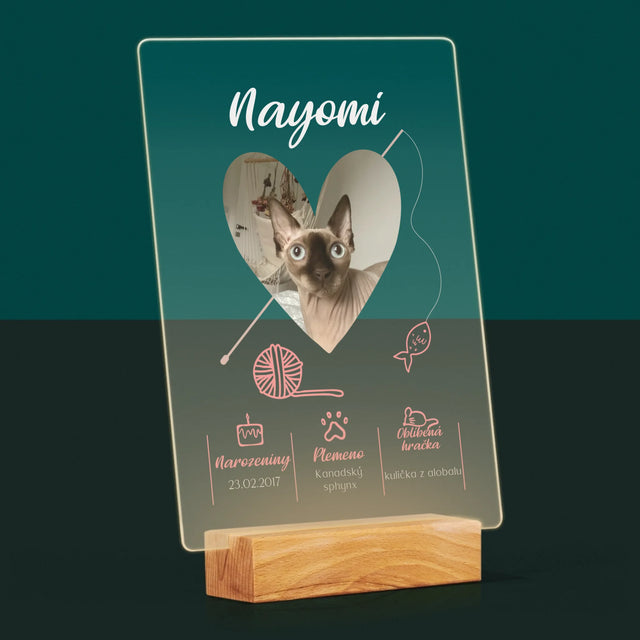 Fotka S Textem: Kočičí Údaje - Tisk Na Akrylovém Skle