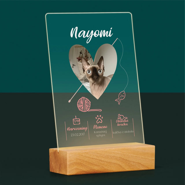 Fotka S Textem: Kočičí Údaje - Tisk Na Akrylovém Skle