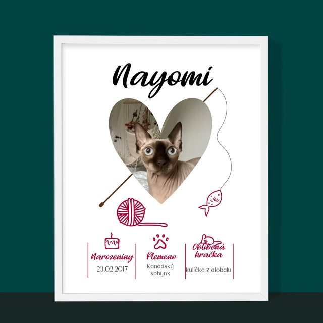 Fotka S Textem: Kočičí Údaje - Tisk V Rámečku