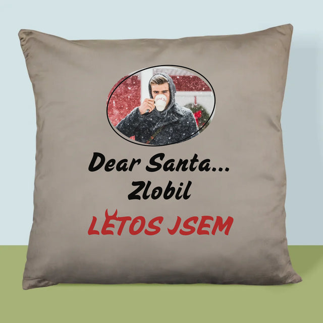 Fotka S Textem: Letos Jsem - Polštář