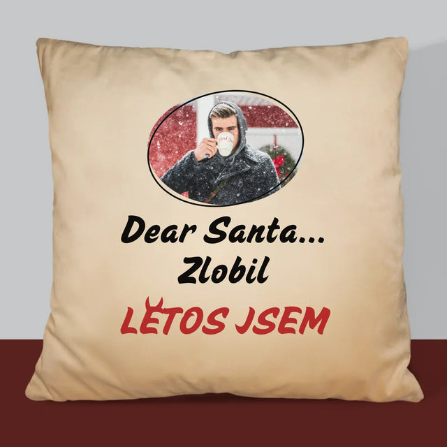 Fotka S Textem: Letos Jsem - Polštář