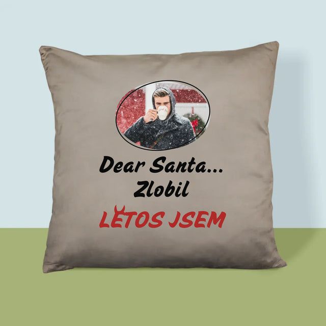 Fotka S Textem: Letos Jsem - Polštář