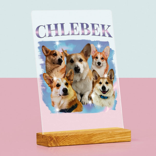 Tvoje Postava: Bootleg S Tvým Psem - Tisk Na Akrylovém Skle