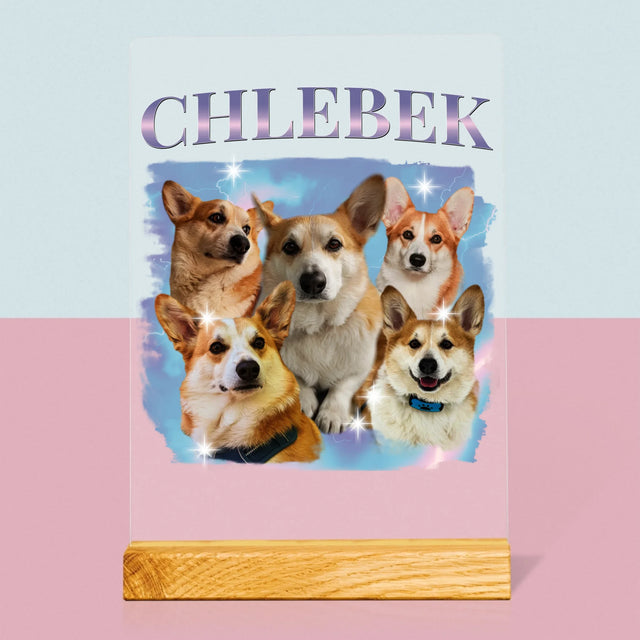 Tvoje Postava: Bootleg S Tvým Psem - Tisk Na Akrylovém Skle