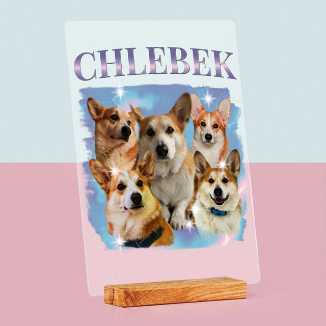 Tvoje Postava: Bootleg S Tvým Psem - Tisk Na Akrylovém Skle