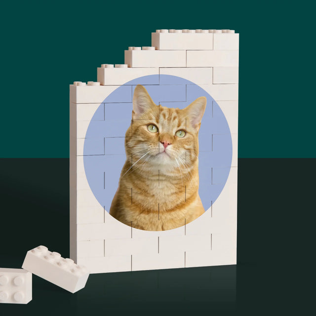 Fotka: Tvoje Kočka - Kostky Lego