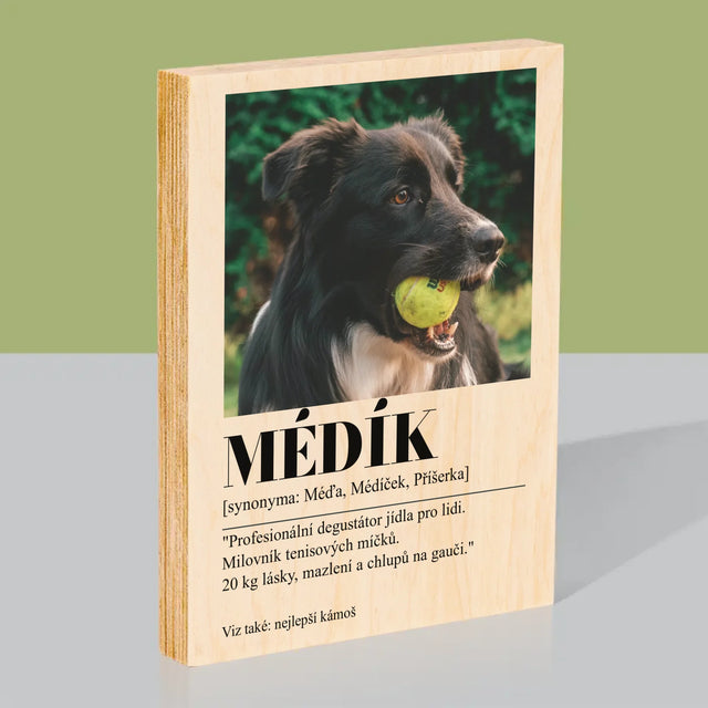 Fotka S Textem: Mazlíček Definice - Tisk Na Dřevo