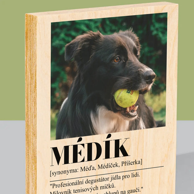 Fotka S Textem: Mazlíček Definice - Tisk Na Dřevo