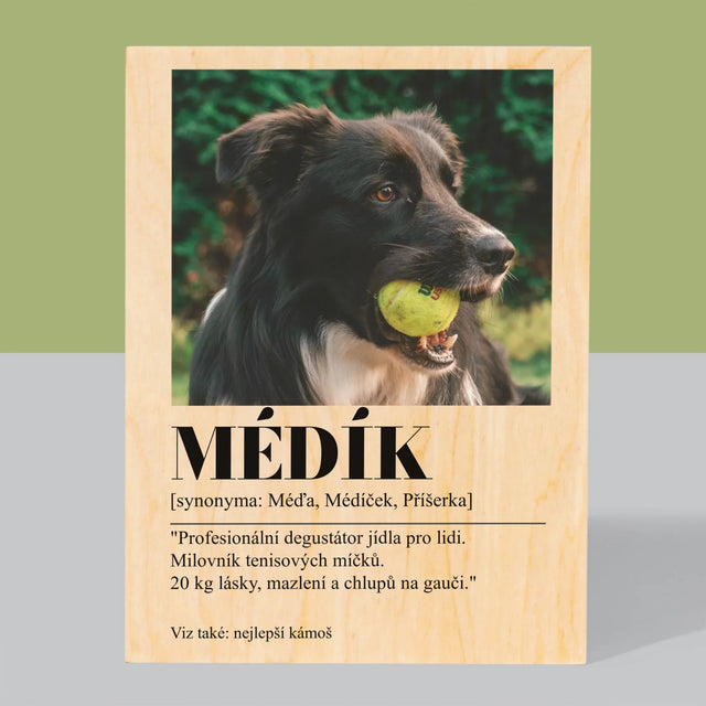 Fotka S Textem: Mazlíček Definice - Tisk Na Dřevo