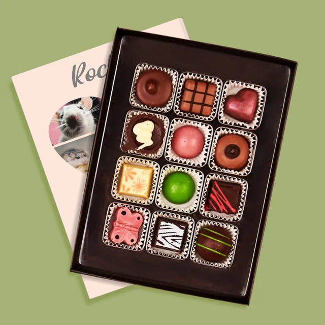 Fotokoláž: Křeček - Pralinky