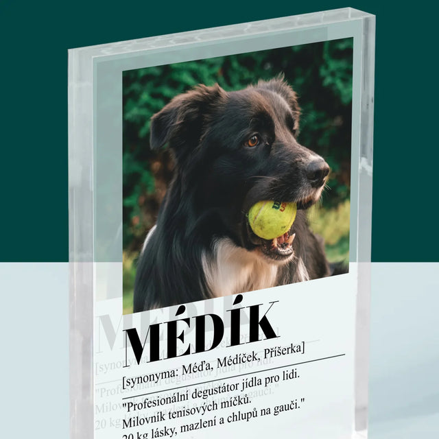 Fotka S Textem: Mazlíček Definice - Akrylový Blok
