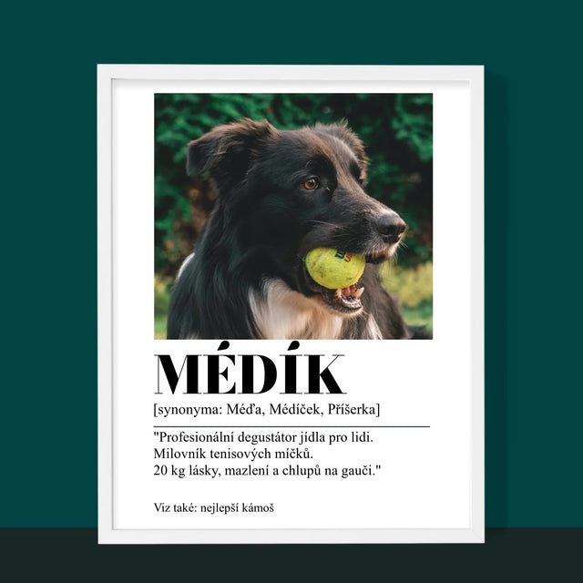 Fotka S Textem: Mazlíček Definice - Tisk V Rámečku