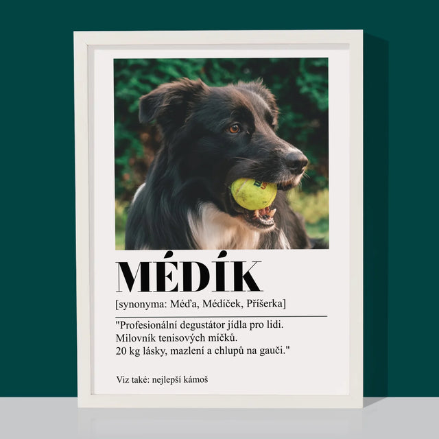 Fotka S Textem: Mazlíček Definice - Tisk V Rámečku