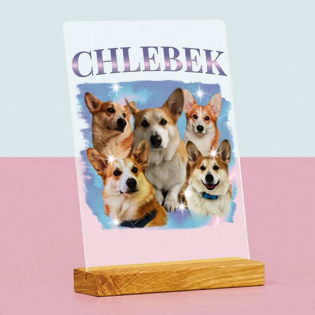 Tvoje Postava: Bootleg S Tvým Psem - Tisk Na Akrylovém Skle