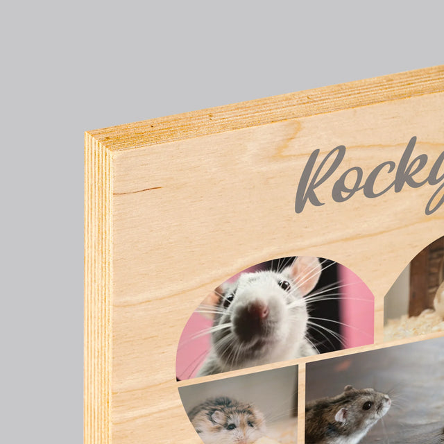 Fotografická koláž: Křeček - tisk na dřevo | Česká republika