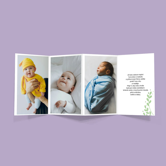 Fotka A Nápis: Ke Křtu - Velká Harmonika Z Fotografií