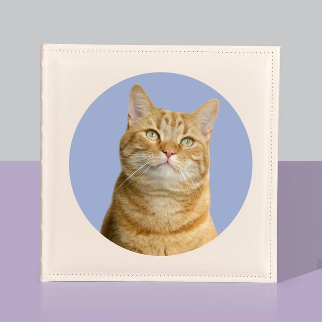 Fotka: Tvoje Kočka - Fotoalbum
