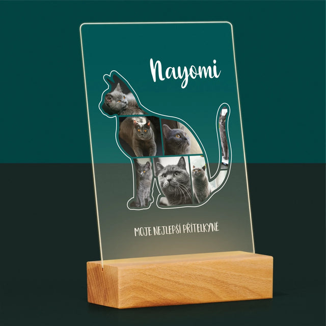 Tvar Z Fotek: Kočka Ten Nejlepší Přítel - Tisk Na Akrylovém Skle