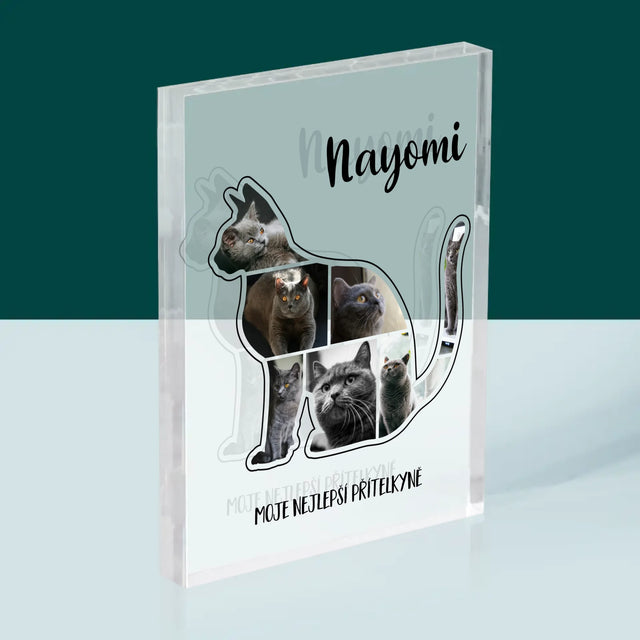Tvar Z Fotek: Kočka Ten Nejlepší Přítel - Akrylový Blok
