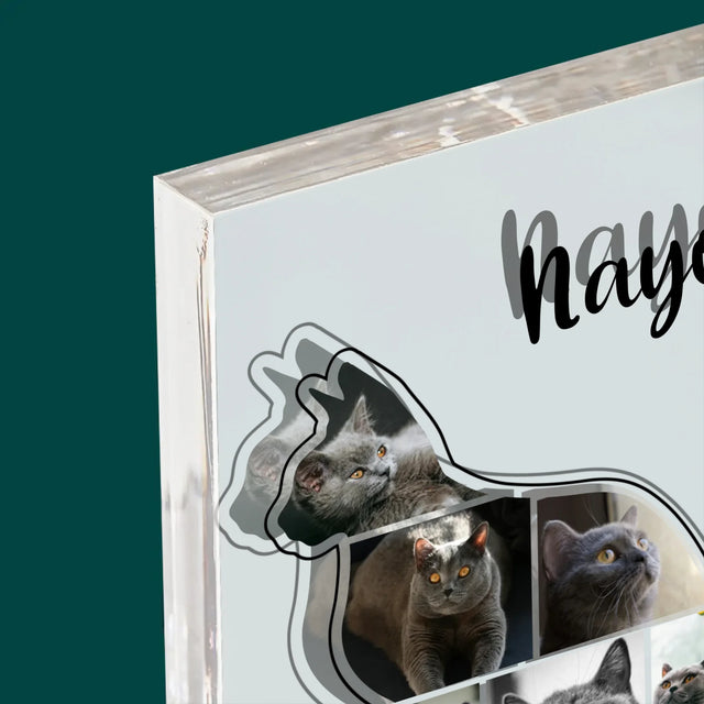 Tvar Z Fotek: Kočka Ten Nejlepší Přítel - Akrylový Blok