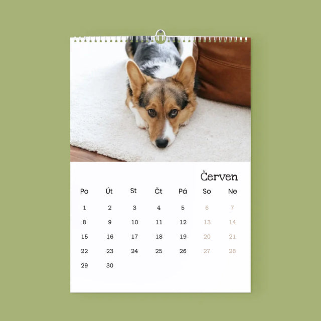 Fotka S Textem: Milovaný Chlupáč - Nástěnný Kalendář
