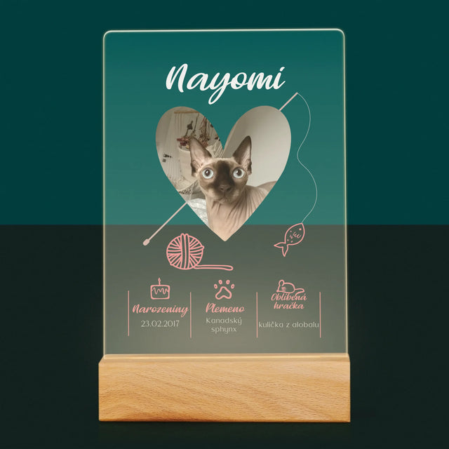 Fotka S Textem: Kočičí Údaje - Tisk Na Akrylovém Skle