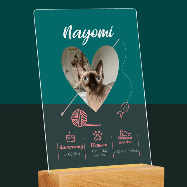 Fotka S Textem: Kočičí Údaje - Tisk Na Akrylovém Skle