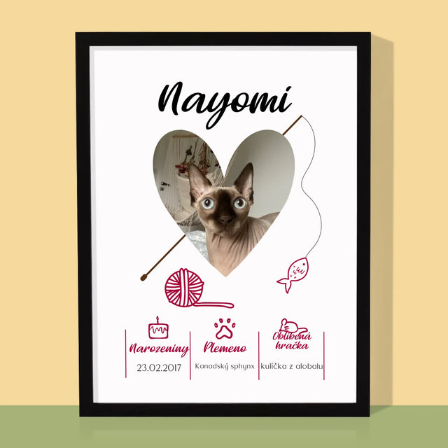 Fotka S Textem: Kočičí Údaje - Tisk V Rámečku