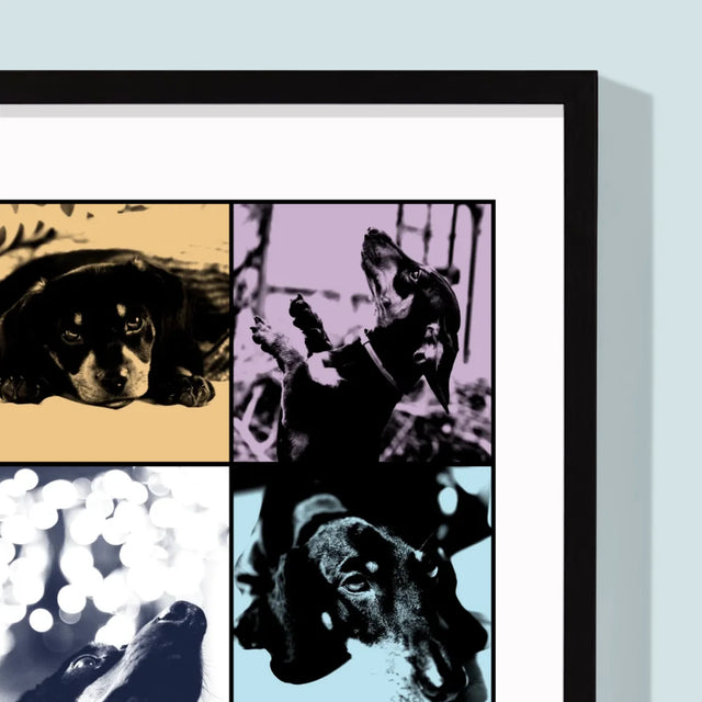 Fotokoláž: Štěně Jak Taylor - Tisk V Rámečku