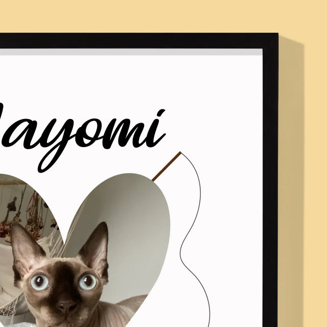 Fotka S Textem: Kočičí Údaje - Tisk V Rámečku