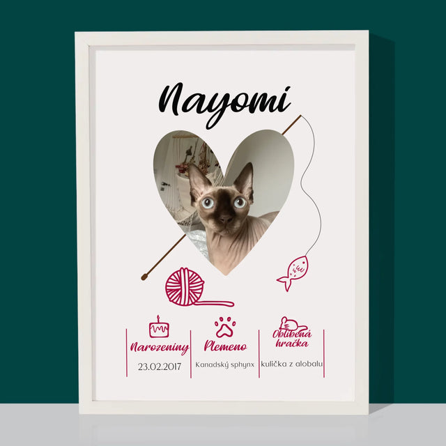 Fotka S Textem: Kočičí Údaje - Tisk V Rámečku