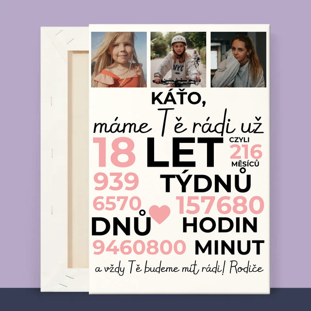 2 - 20x30 40x60 60x90