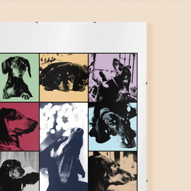 Fotokoláž: Štěně Jak Taylor - Plakát