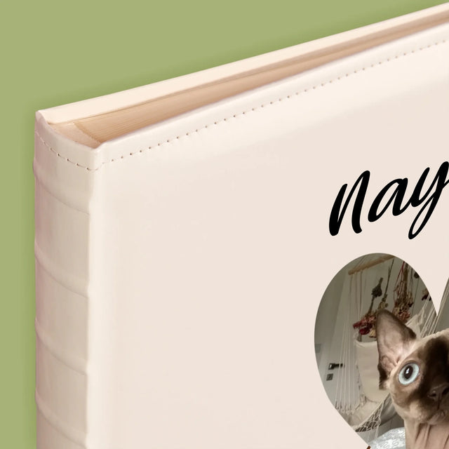 Fotka S Textem: Kočičí Údaje - Fotoalbum