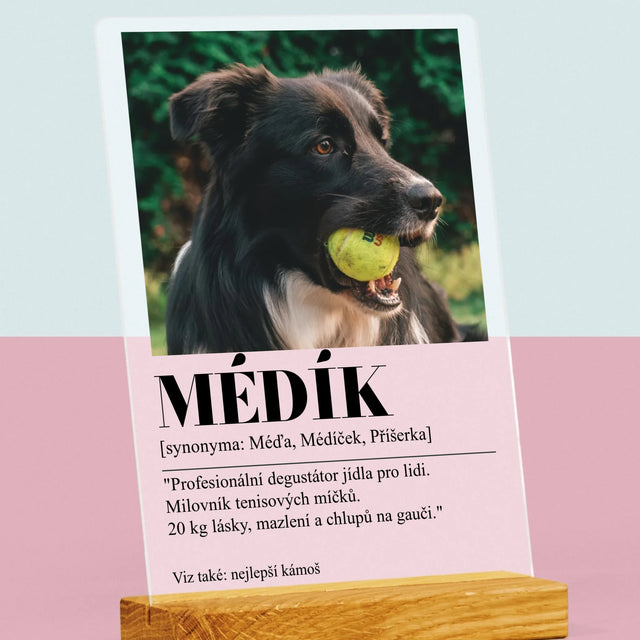 Fotka S Textem: Mazlíček Definice - Tisk Na Akrylovém Skle