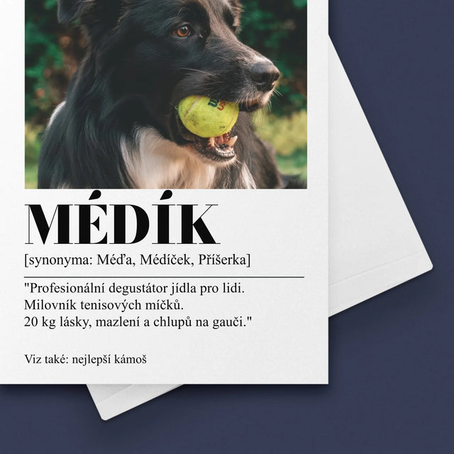 Fotka S Textem: Mazlíček Definice - Přání