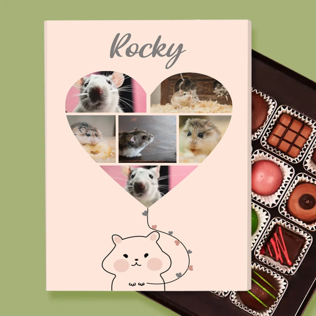 Fotokoláž: Křeček  - Pralinky
