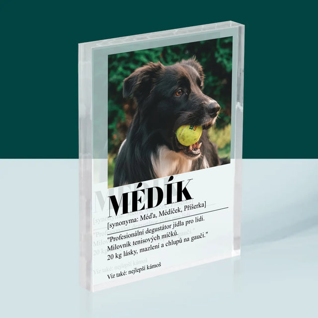 Fotka S Textem: Mazlíček Definice - Akrylový Blok