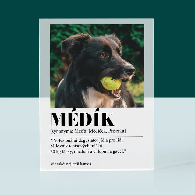Fotka S Textem: Mazlíček Definice - Akrylový Blok