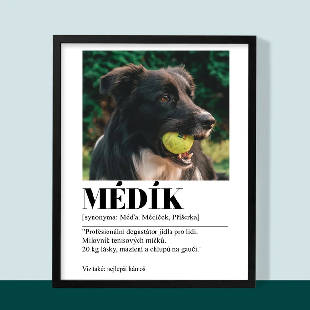 Fotka S Textem: Mazlíček Definice - Tisk V Rámečku