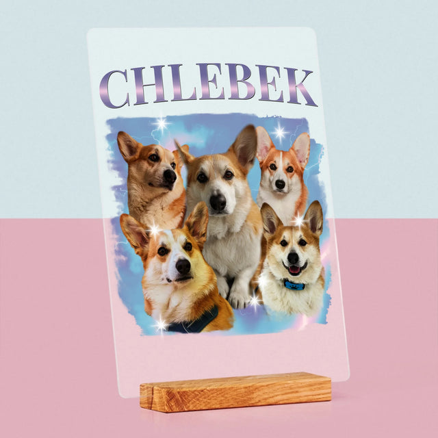 Tvoje Postava: Bootleg S Tvým Psem - Tisk Na Akrylovém Skle